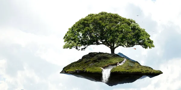 Bild av träd och landskap — Stockfoto