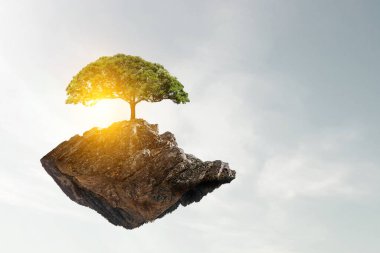 Ağaç ve manzaranın resmi