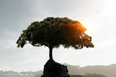 Ağaç ve manzaranın resmi