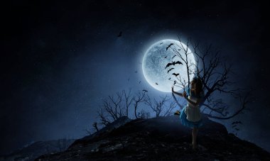 Ürkütücü gece görüntüsü. Karışık ortam