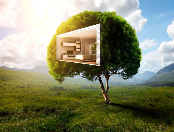 Concepto inmobiliario y ecológico — Foto de Stock