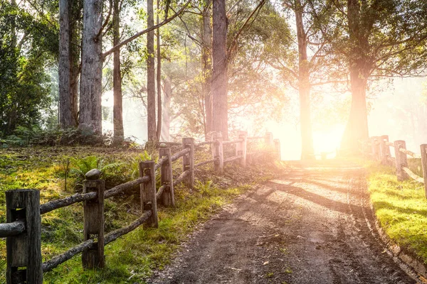 Landskap med väg. Blandade medier — Stockfoto