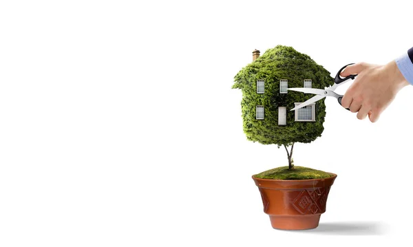 Little Eco House na zelené trávě — Stock fotografie