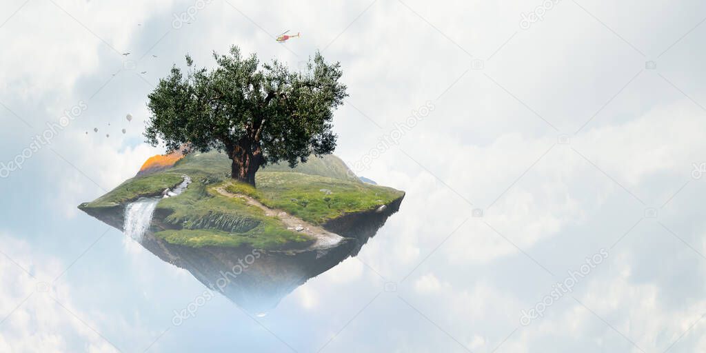 Image of tree and landscape