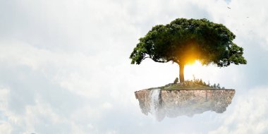 Ağaç ve manzaranın resmi