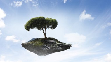 Ağaç ve manzaranın resmi