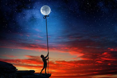 Çocuk ayı yakalıyor. Karışık ortam