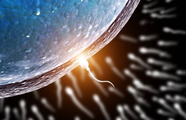 Spermatozoon, ovule için yüzer. Bir sperm ile yumurta döllenme anı. Siyah arka plan üzerine. 3D render