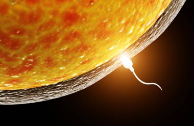 Spermatozoon, ovule için yüzer. Bir sperm ile yumurta döllenme anı. Siyah arka plan üzerine izole. 3D render