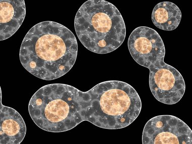 Amoebas isolated on black background. 3d render clipart