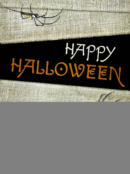 Fondo Halloween Con Viejo Vendaje Momias Arañas Inscripción Feliz Halloween —  Fotos de Stock