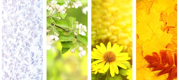 Vier Jahreszeiten Reihe Von Vertikalen Naturbannern Mit Winter Frühlings Sommer — Stockfoto