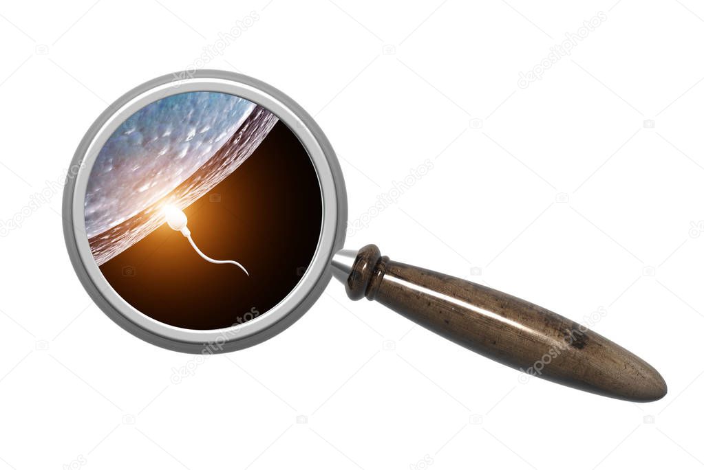 Magnifying glass and spermatozoons, floating to ovule. The moment of fertilization of an egg with a sperm. Isolated on white background. 3d render