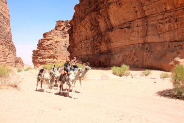 Wadi Rum, beş deve dromedary ile geleneksel kılığına girmiş iki Bedevileri çöl, Jordan, Orta Doğu