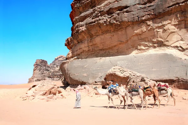约旦瓦迪朗姆沙漠的骆驼大篷车 贝多因传统服装与四头骆驼单卷 靠近石头与史前岩画岩画描绘人类和骆驼的岩画 — 图库照片