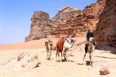 Bedevi ve dört deve dromedary Wadi Rum, çöl, Jordan, Orta Doğu