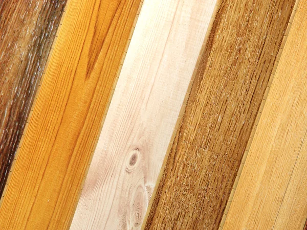 Nuevos Tablones Parquet Diferentes Colores Con Diferentes Especies Madera Renderizar —  Fotos de Stock