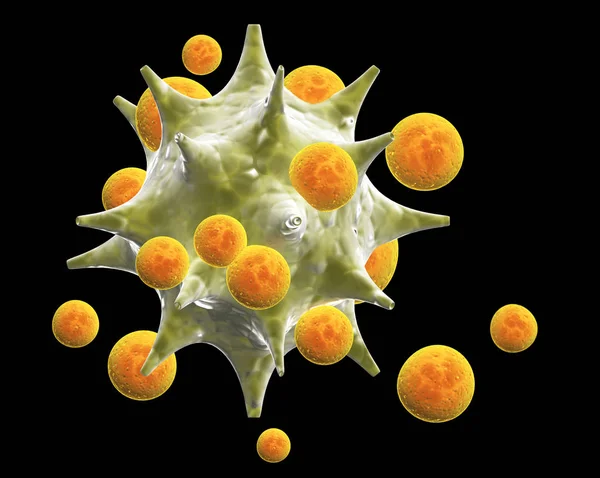 白细胞攻击病原体病毒 独立的 黑色背景 — 图库照片
