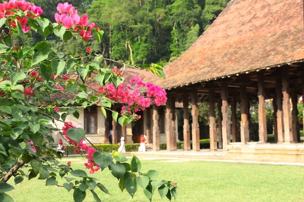 Magul Maduwa v Šrí Daladá máligáva, Kandy, Srí Lanka — Stock fotografie