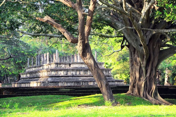Ruínas do antigo parlamento do Cingalês, Polonnaruwa, Sri Lanka — Fotografia de Stock
