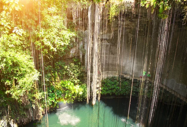 Ik-Kil cenote, Yucatan, Мексика — стоковое фото