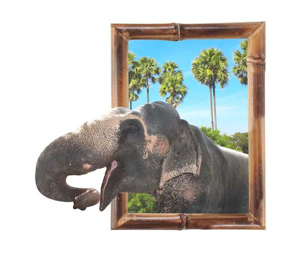 Elefante in cornice di bambù con effetto 3d — Foto Stock