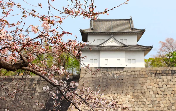 Κλαδιά Sakura και Πύργος παρακολούθησης του κάστρου της Οσάκα, Ιαπωνία — Φωτογραφία Αρχείου