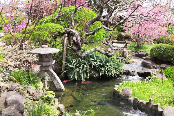 Lanterna de pedra e lagoa no jardim japonês tradicional, Kamakura , — Fotografia de Stock