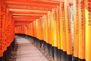 Kyoto, Japonya - 2 Nisan 2019: Ünlü Red Torii gates, Fushimi In