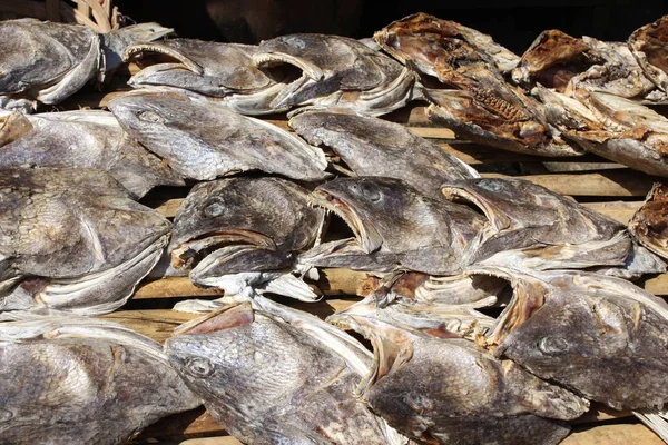 Teste di pesce essiccate sul mercato mattutino a Yangon, Myanmar — Foto Stock