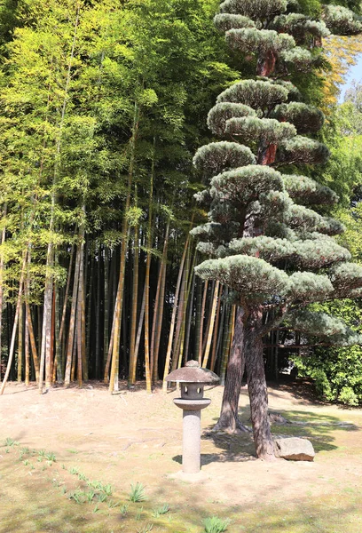 岡山・小石川後楽園の装飾石灯籠, — ストック写真