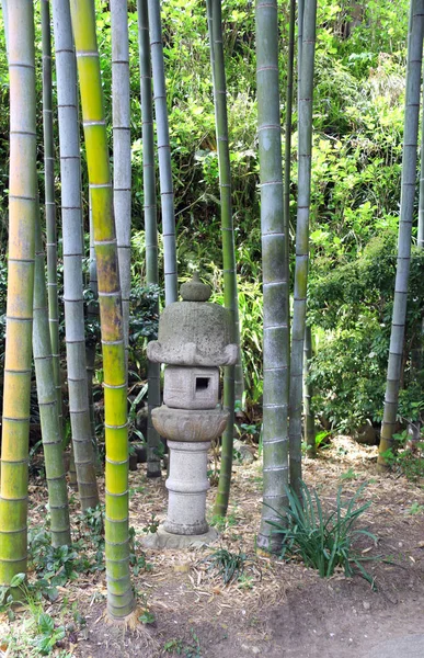 Lanterna de pedra e bambu, templo de Hasedera, Kamakura, Japão — Fotografia de Stock