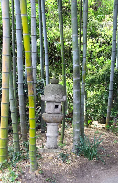 Taş fener ve bambu, Hasedera tapınağı, Kamakura, Japonya — Stok fotoğraf