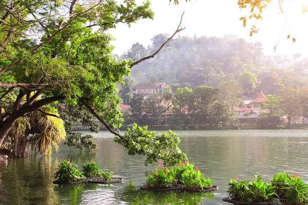 Sri Dalada Maligawa yakınlarındaki Kandy gölü, Kandy, Sri Lanka — Stok fotoğraf