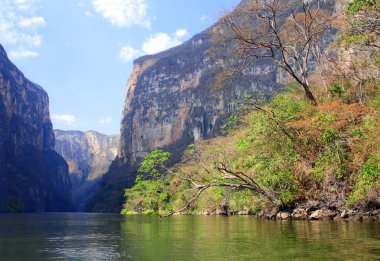 Güzel kayalar ve Sumidero Kanyonu içinde Grijalva nehri, Mexic