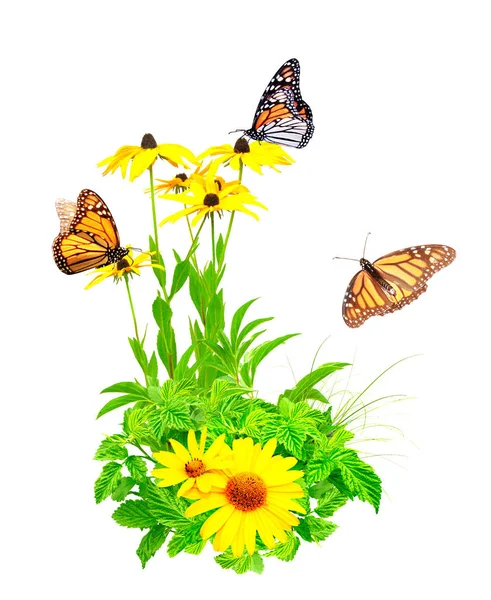 Summer flowers, green leaves and monarch butterflies