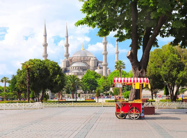 Blue mosque (Sultan Ahmet mosque), Sultanahmet Square, Istanbul, — Stock Photo, Image