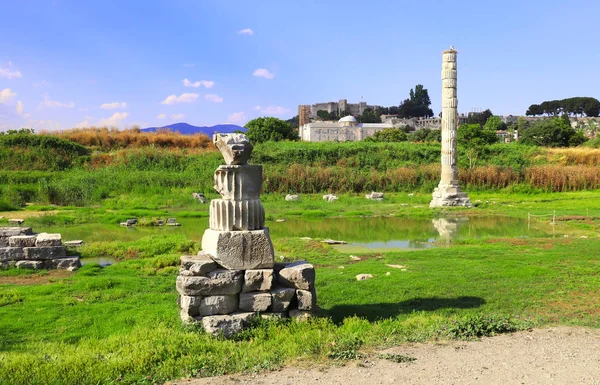 Sloup a zřícenina chrámu Artemis Efesa, Selcuk, Turecko — Stock fotografie