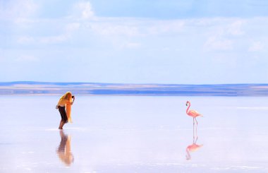 Tuz Golu, Türkiye tuz gölünde flamingo fotoğrafı çeken kız