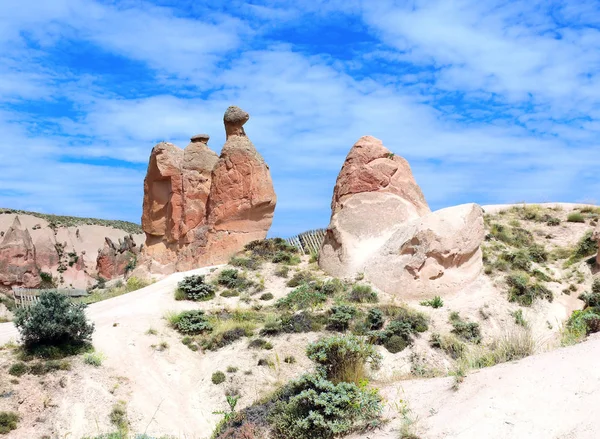 Roca de camello en el valle de Devrent, Capadocia, Anatolia, Turquía — Foto de Stock