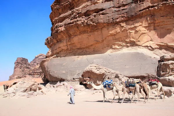 Karawana wielbłądów na pustyni Wadi Rum, Jordania — Zdjęcie stockowe