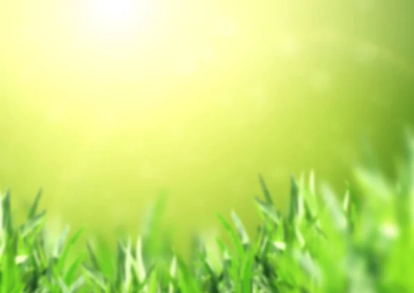 Абстрактный фон с зеленой травой — стоковое фото