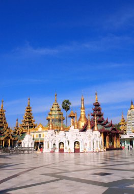 Altın stupas Shwedagon Zedi Daw, Yangon, Myanmar