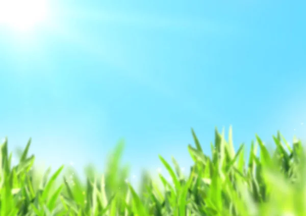 Natuur onscherpe achtergrond met groen gras en zonnige blauwe hemel — Stockfoto