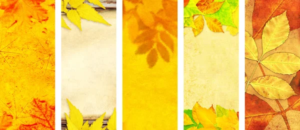 Set of vertical or horizontal autumn banners — Stock Photo, Image