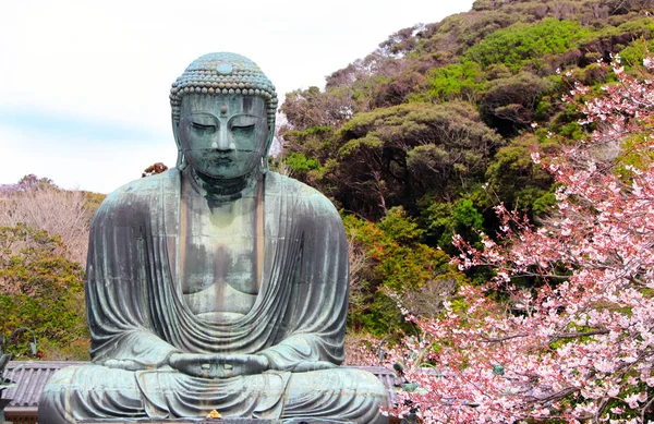 Der große Buddha und Sakura-Blumen, kotoku-in Tempel, Japan — Stockfoto