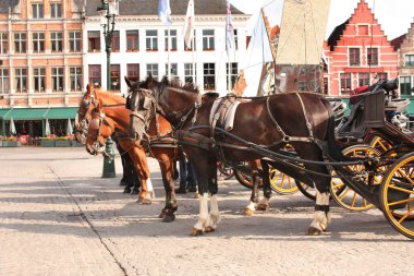 Old houses and horse carriages on Grote Markt square, Brugge, Be clipart