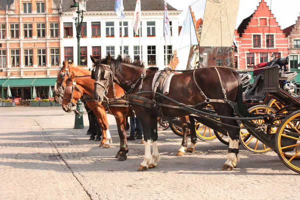 Régi házak és lovas kocsikázás a Grote Markt téren, Brugge, be — Stock Fotó