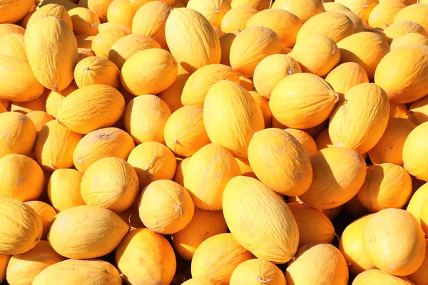 Reife gelbe Melonen auf einem Bauernmarkt — Stockfoto
