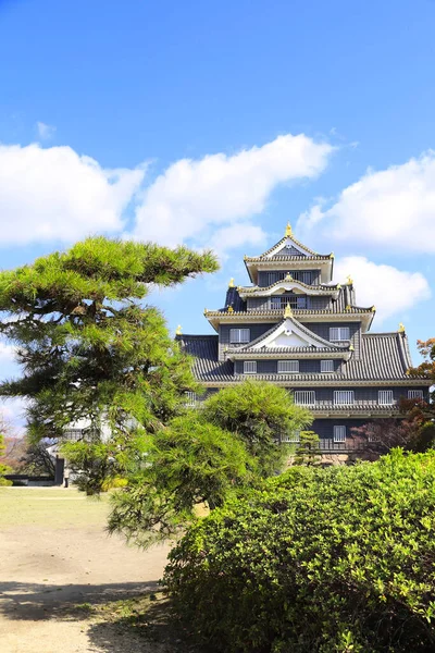 Okayama Castle Ravens Castle Black Castle Okayama City Japão — Fotografia de Stock